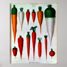 Carrots Print