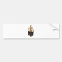 CarryingToolbox112709 copy Bumper Sticker
