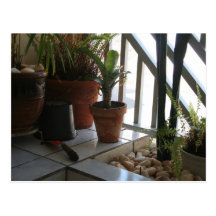 Cartão postal Jardim