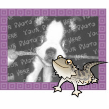 Cartoon Bearded Dragon / Rankin Dragon Cut Outs