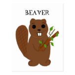 Cartoon Beaver Post Cards