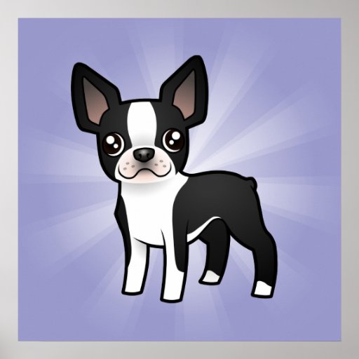 Cartoon Boston Terrier | Zazzle