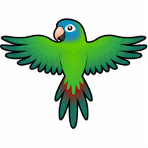 Cartoon Conure / Lorikeet / Parrot Photo Cutout