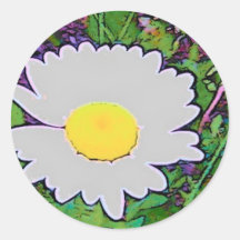 Cartoon Daisy Stickers
