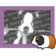 Cartoon Guinea Pig Photo Frame (smooth hair) Cut Outs