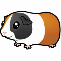 Cartoon Guinea Pig (smooth hair) Photo Sculpture