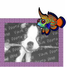 Cartoon Mandarin / Dragonet Fish Cut Outs