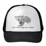 cartoon squirrel, Am I driving you nuts? Hats