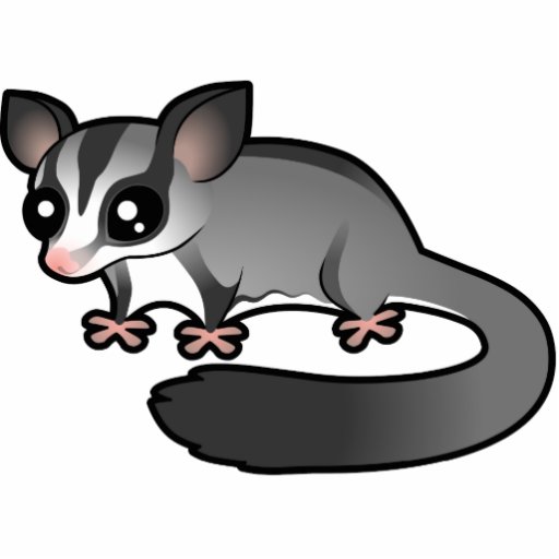 Cartoon Sugar Glider | Zazzle