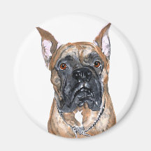 Cash the Boxer Magnet