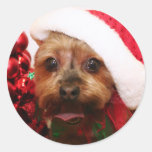Cassie - Yorkshire Terrier - Scharr Stickers