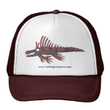 Castor Dragon Image 1 Hat