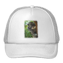 Casual Koala  Baseball Hat