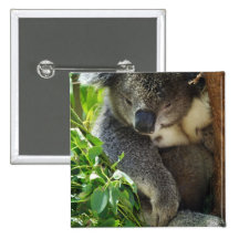 Casual Koala  Button