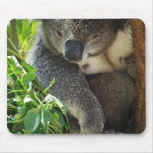 Casual Koala  Mouse Pad