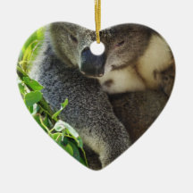 Casual Koala  Ornament