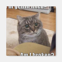 cat addicts annonymouse fridge magnets