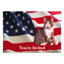 Cat All American Party Invitation