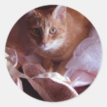 Cat and Ballet Slippers Sticker