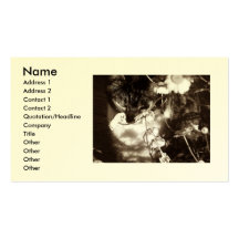 Cat And Daisies Business Card