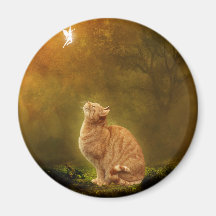 Cat And Fairy Fridge Magnets