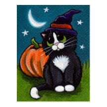 Cat and Pumpkin Postcard