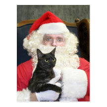 Cat and Santa Claus Postcard