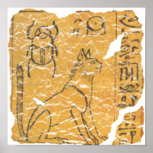 cat and scarab print
