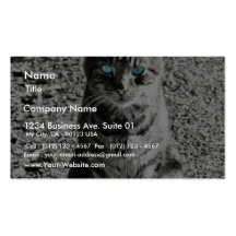 Cat Animal Pet Business Card Template