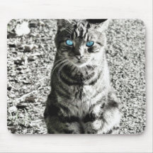 Cat Animal Pet Mousepads