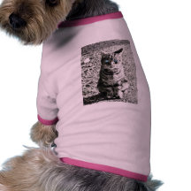 Cat Animal Pet Pet T Shirt