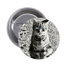 Cat Animal Pet Pin