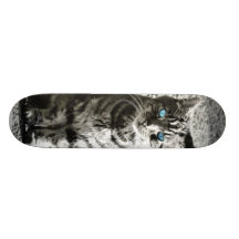 Cat Animal Pet Skate Boards