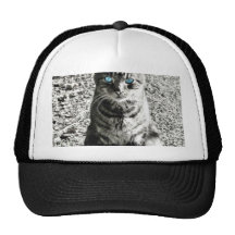Cat Animal Pet Trucker Hat