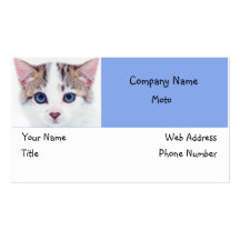 Cat Blue Eyes Business Card Design 1