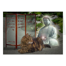 Cat-Buddha nature Card