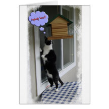 Cat Burglar Greeting Card