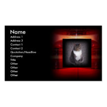 Cat Business Card