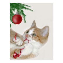 Cat Christmas fun Post Card