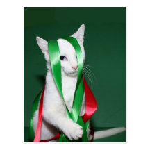 Cat Christmas help Post Cards