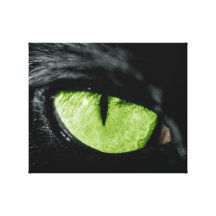 Cat eye canvas prints