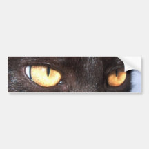 cat eyes bumper stickers