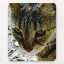 Cat eyes stare mousepads