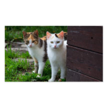 Cat Friends Adventure Business Card