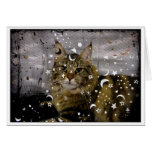 Cat Halloween or any-occasion greeting card