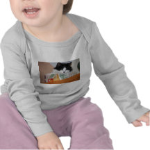 Cat in a Fruit Bowl Tee Shirts