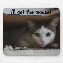 Cat in box tomcat hiding face eyes mousepads