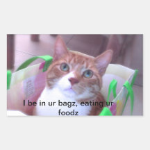Cat in the Bag Rectangular Sticker