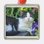 Cat in the garden christmas tree ornaments