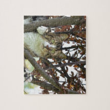 cat in tree photo products puzzles